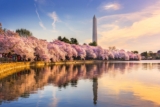 Southwest sale: Up to 30% off spring travel