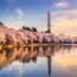 Where to Stay in Miami When You Visit (Updated 2024)